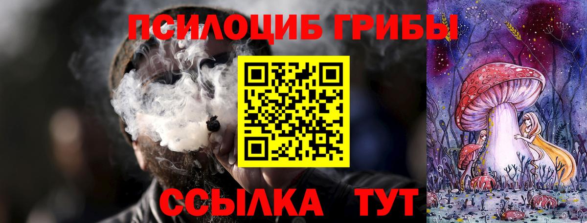 Псилоцибиновые грибы Psilocybe Павловский Посад