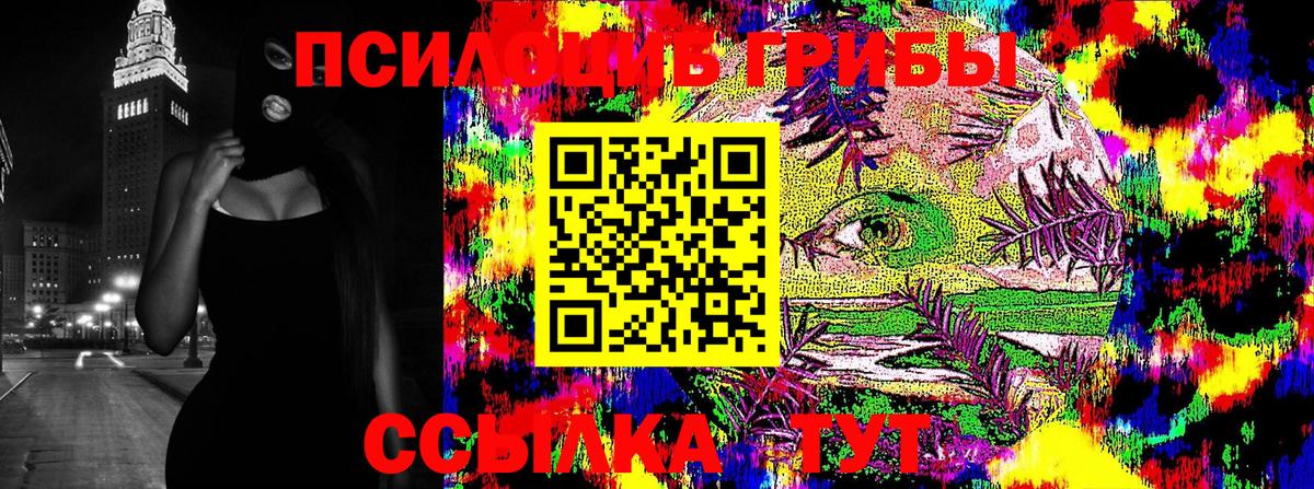 Галлюциногенные грибы Psilocybe  Вход с VPN  Павловский Посад  Галлюциногенные грибы Psilocybine cubensis 