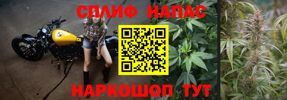 Канабис конопля Павловский Посад